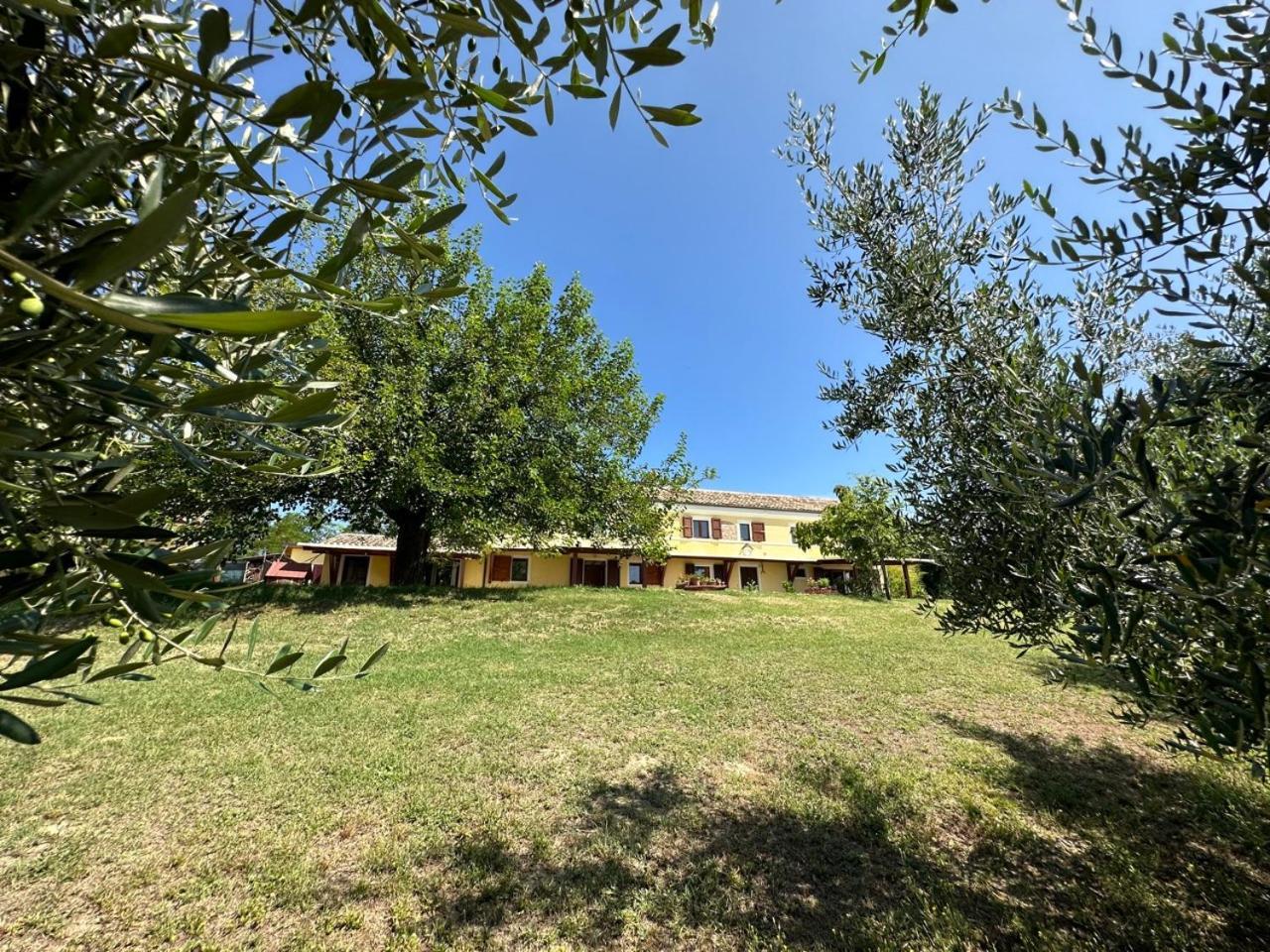 Casale Casini Soccorso Guest House เซนีกัลเลีย ภายนอก รูปภาพ