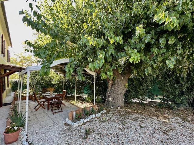 Casale Casini Soccorso Guest House เซนีกัลเลีย ห้อง รูปภาพ